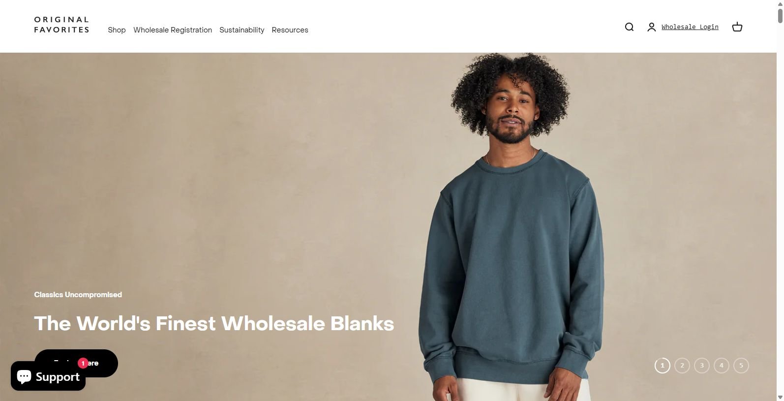 Discover Original Favorites: Premier Blanks Wholesale Clothing