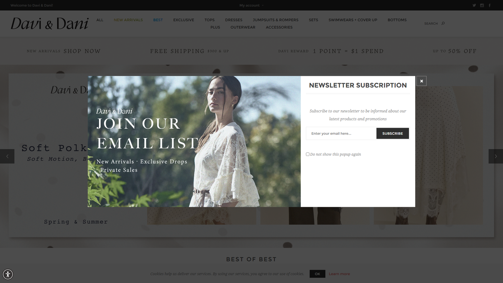 Davi & Dani boutique fashion suppliers