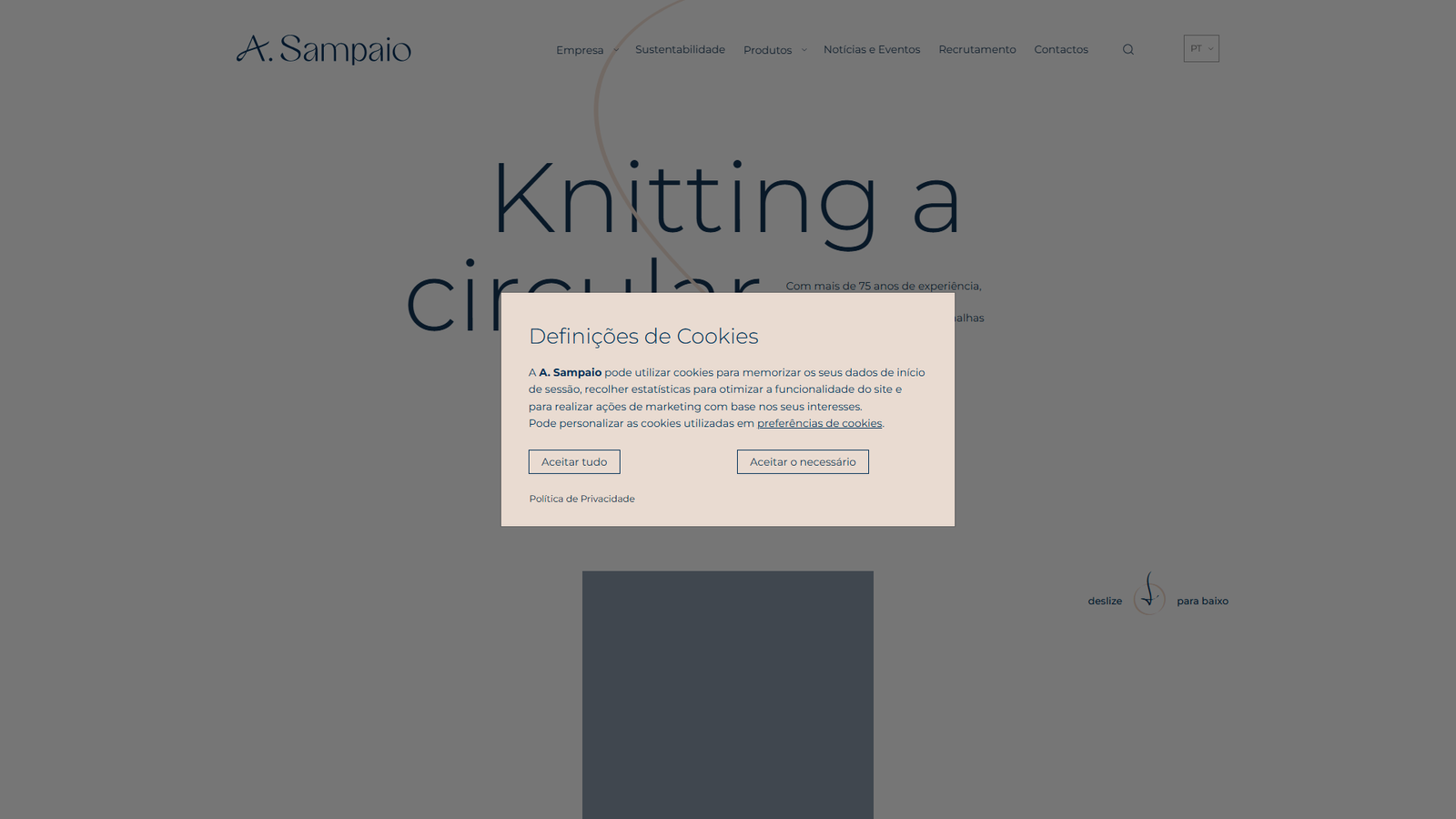 A. Sampaio & Filhos – Têxteis A. Sampaio & Filhos – Têxteis