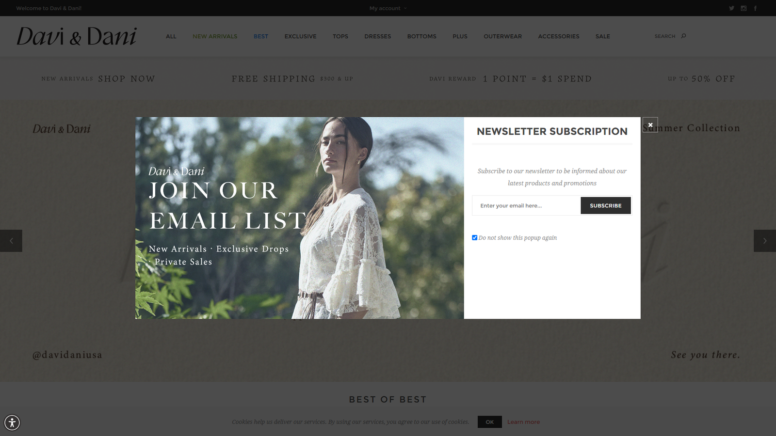 Davi & Dani boutique inventory solutions Davi & Dani boutique inventory solutions