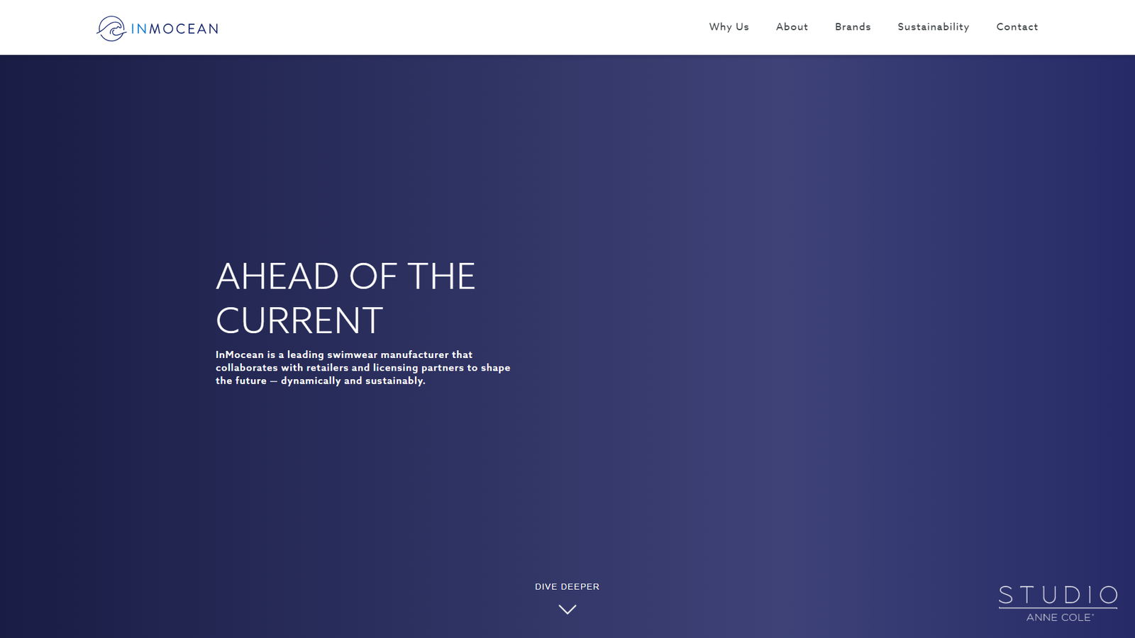 Dolcezza Inc. swimwear distribution