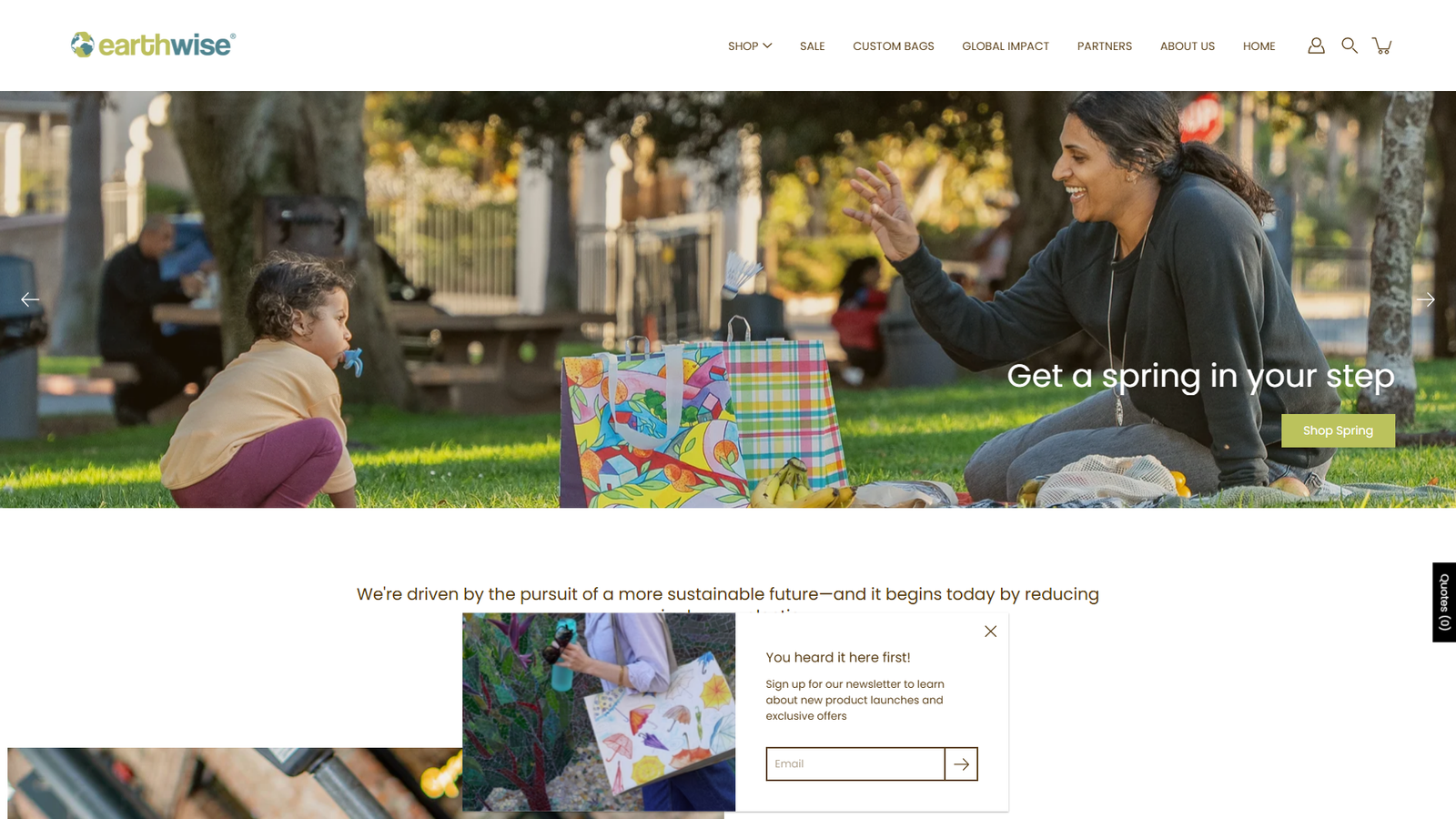 Earthwise custom cloth bags bulk