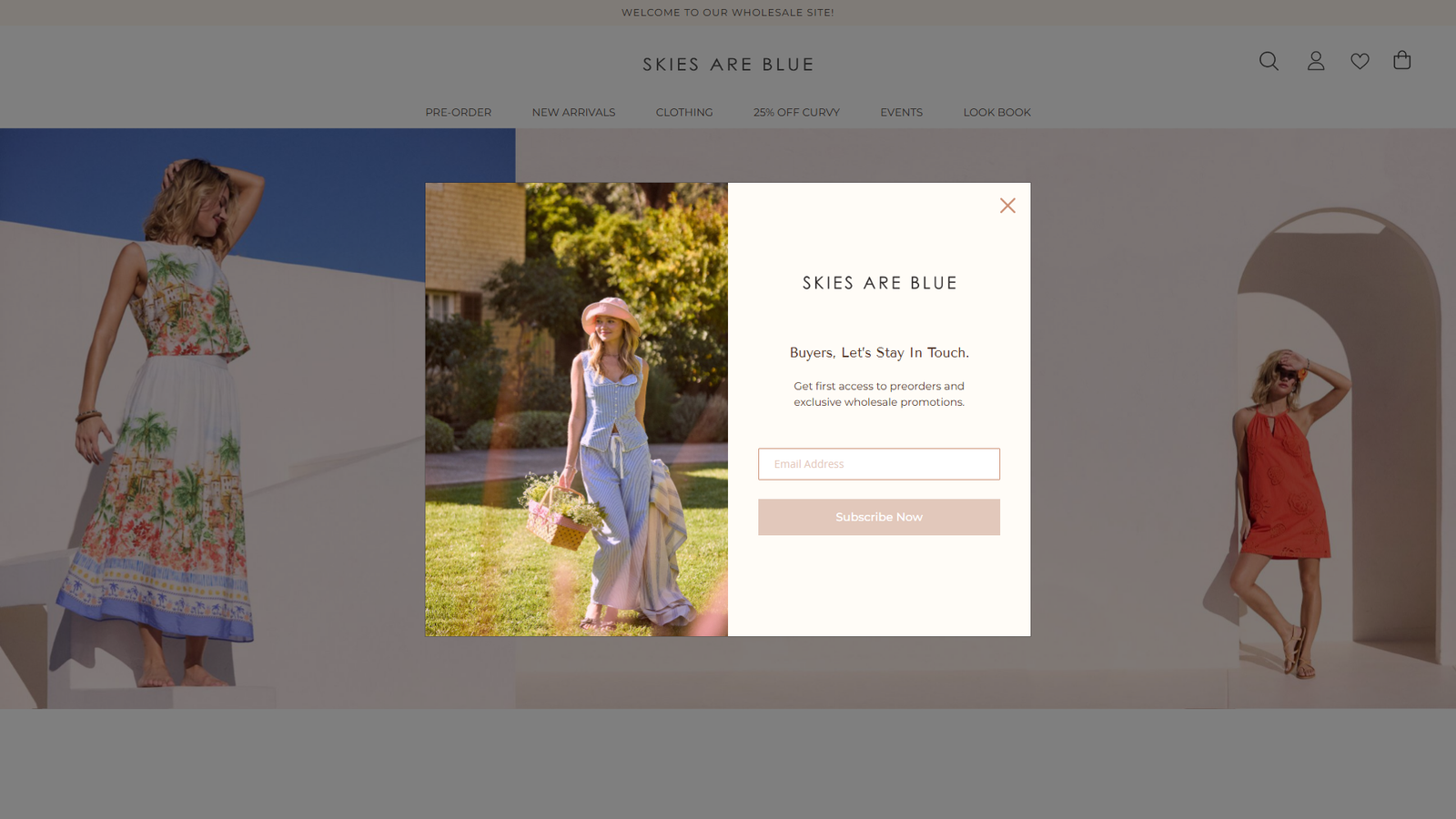 Skies Are Blue thml fashion supplier Skies Are Blue thml fashion supplier