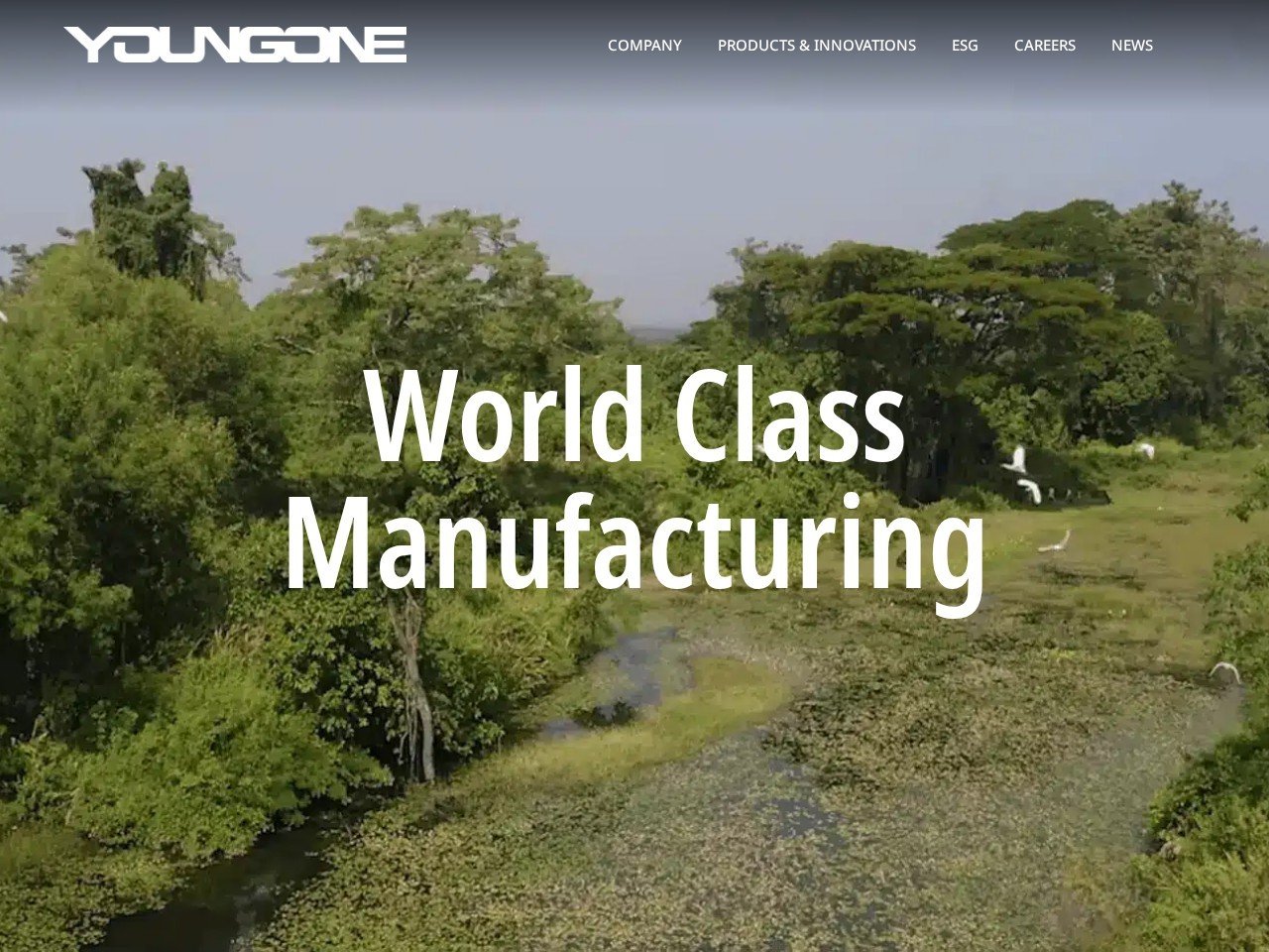 Youngone textile market equilibrium